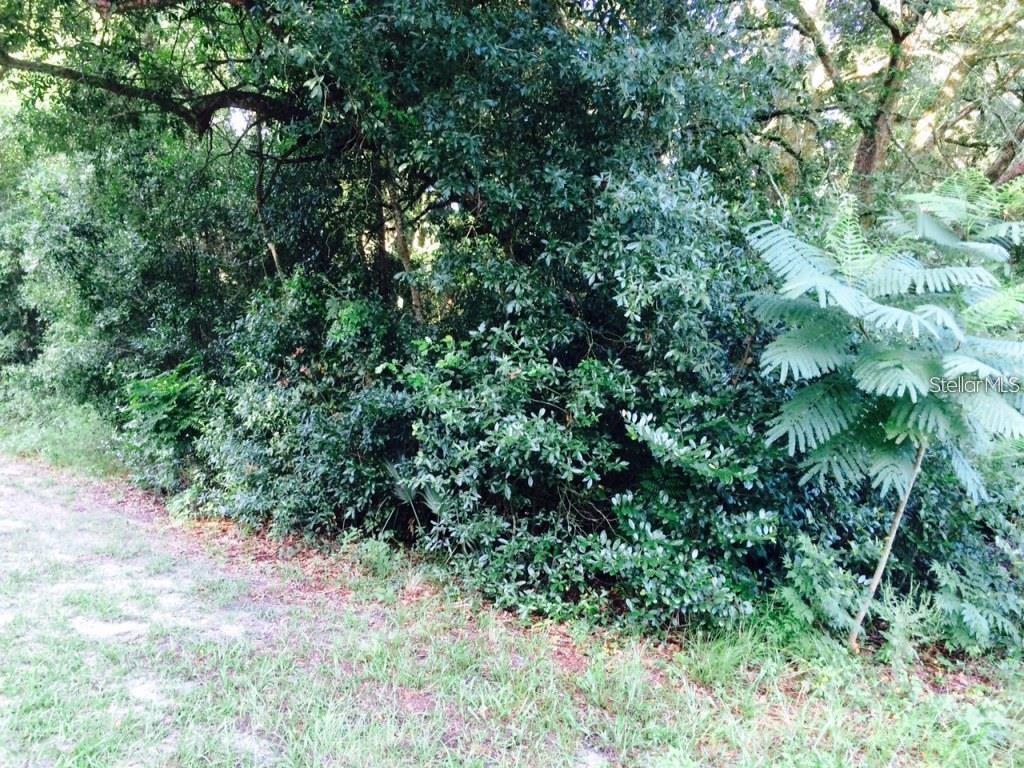 111 Frederick Street, FL