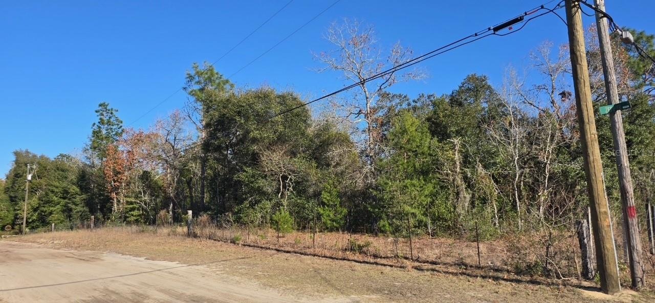 7195 Gas Line Road, FL