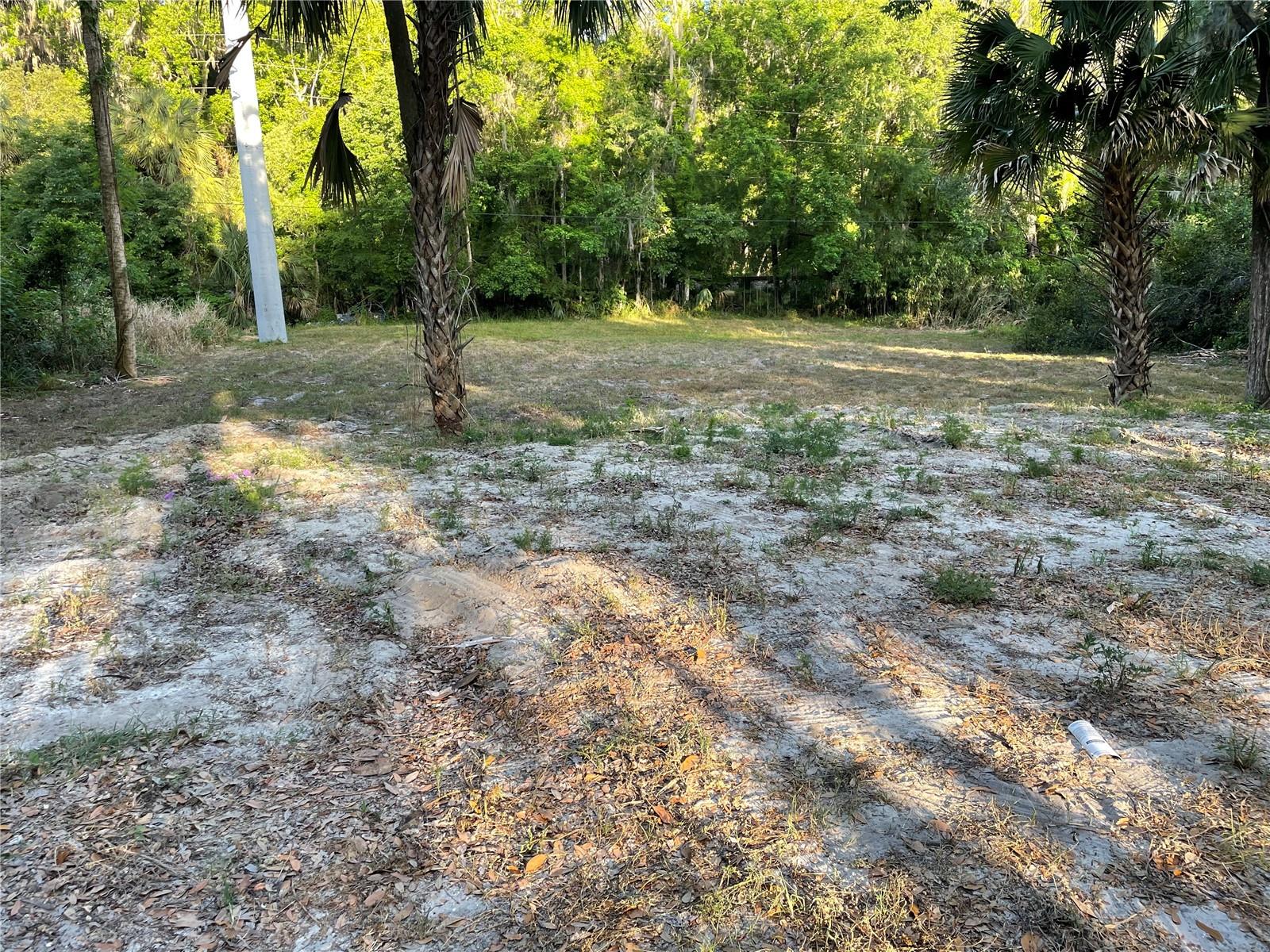Park Avenue, FL