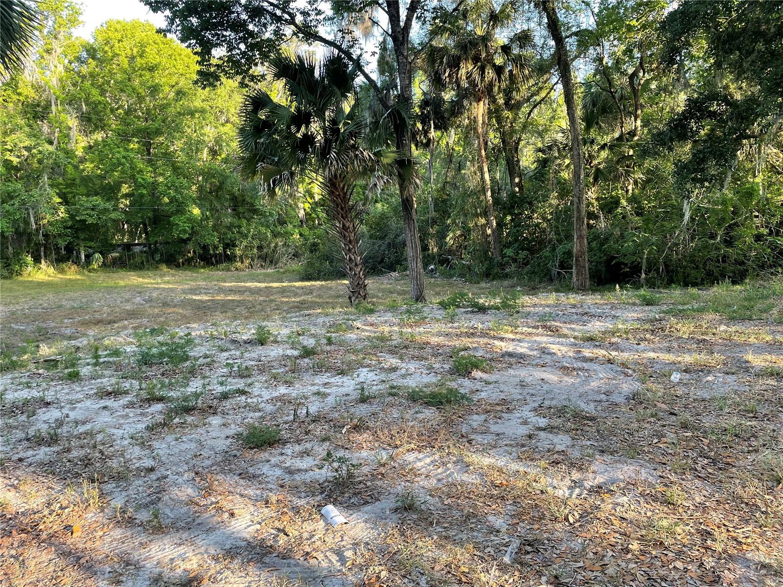 Park Avenue, FL