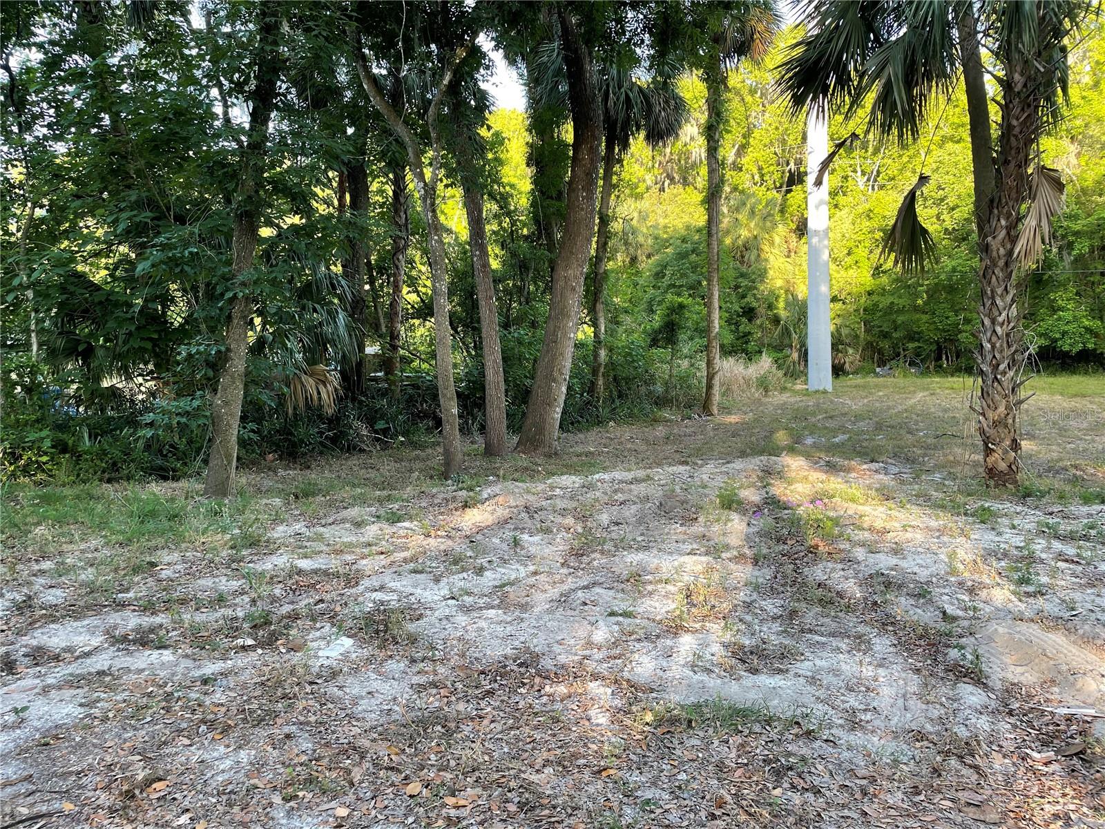 Park Avenue, FL