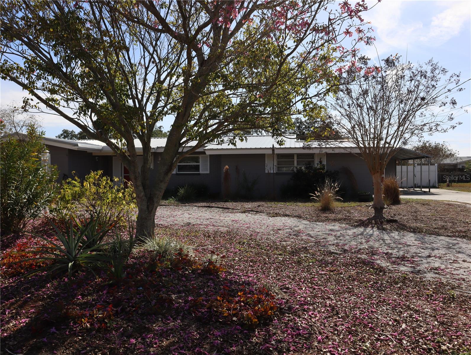 940 Oleander Drive, FL