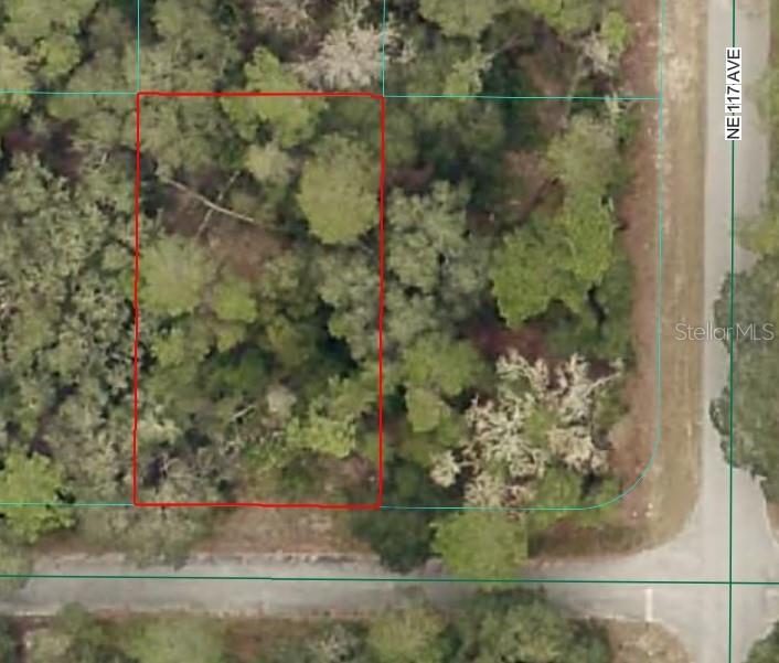 Ne 239th St, FL