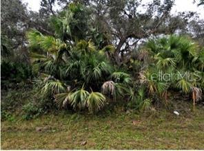 Ocarina Rd, FL