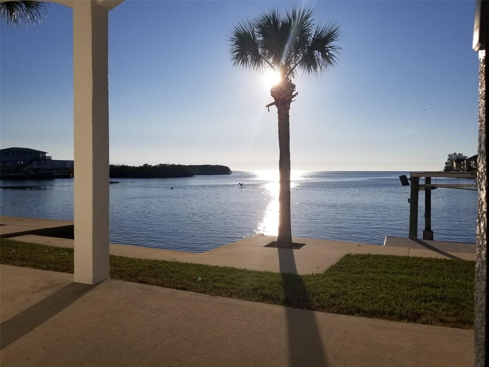 14603 Mcdonald Lane, FL
