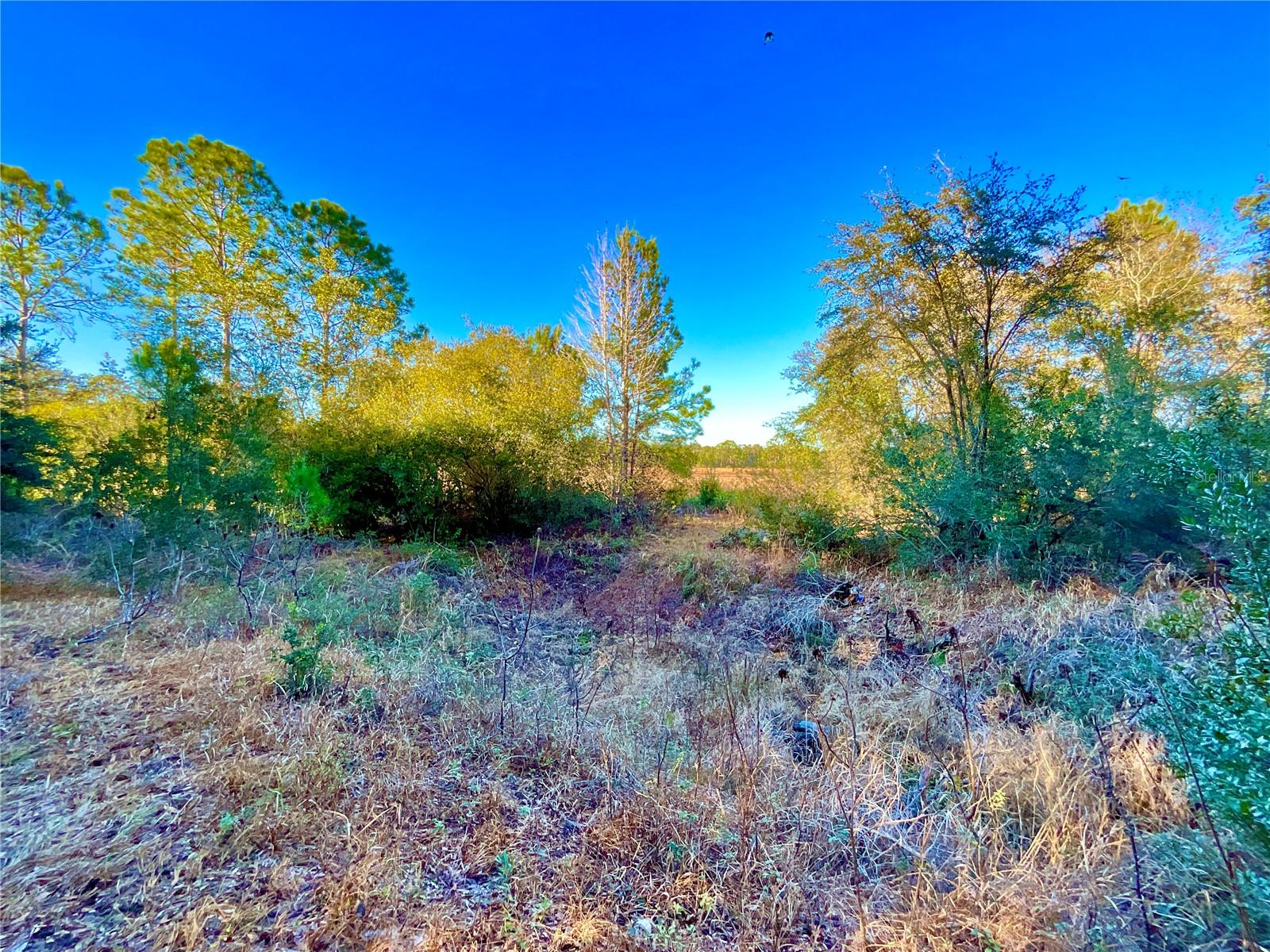 Tbd Lakeview Way, FL