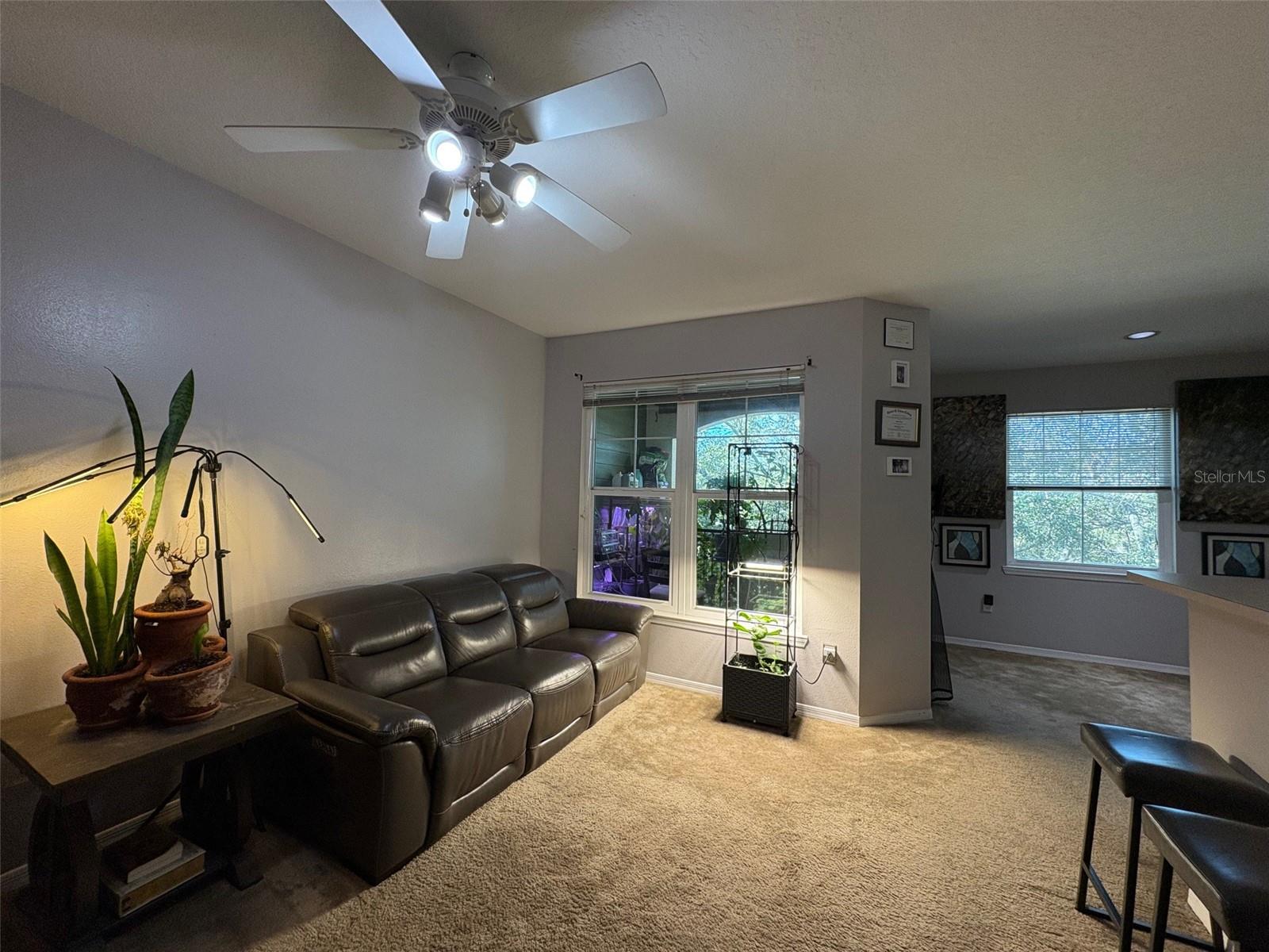 1810 E Palm Avenue, FL