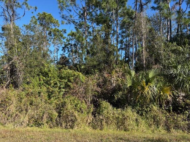 13636 Sulky Drive, FL