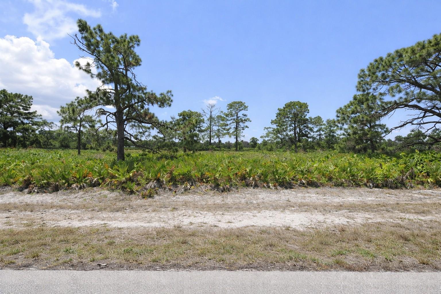 11 Betty Court, FL