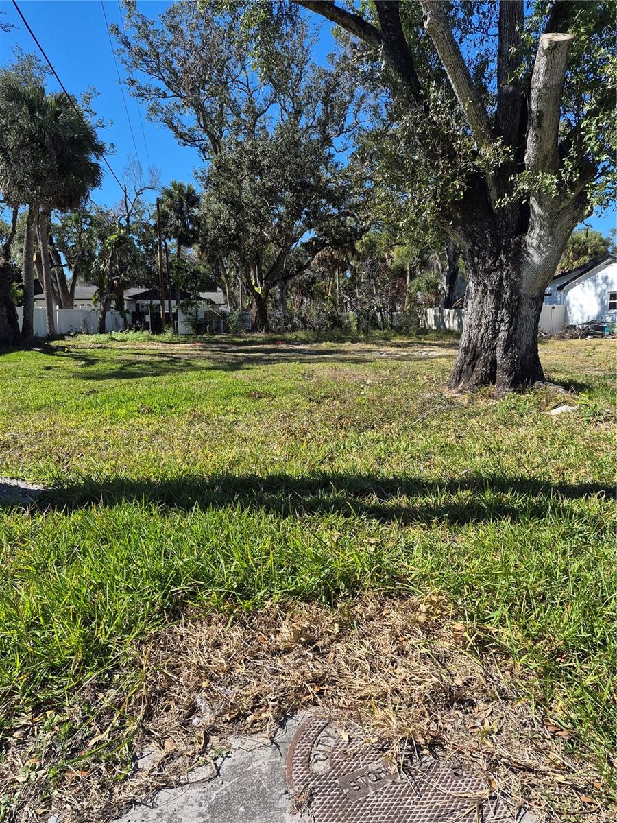 2221 Occident Street, FL