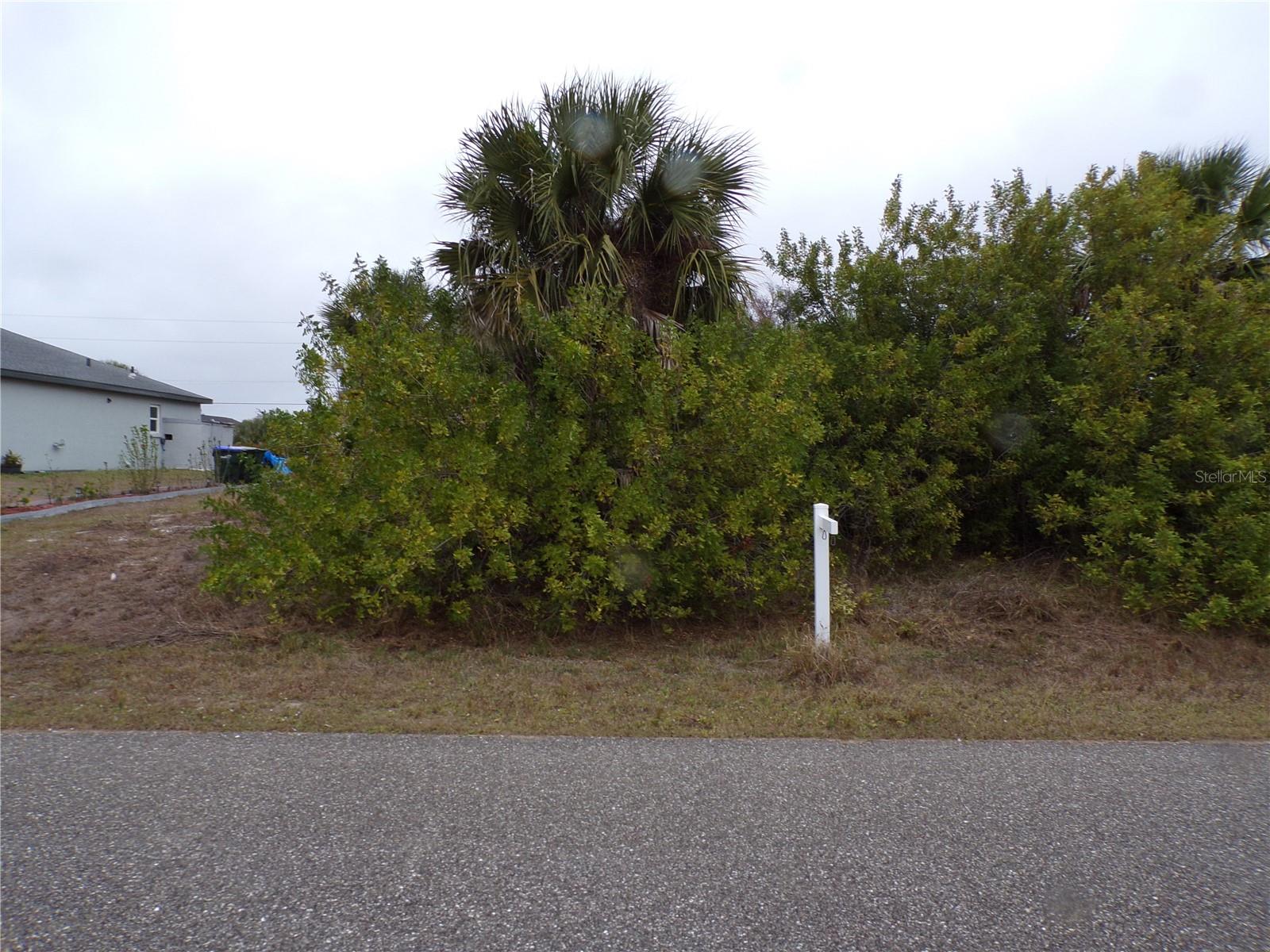 Holster Ave, FL