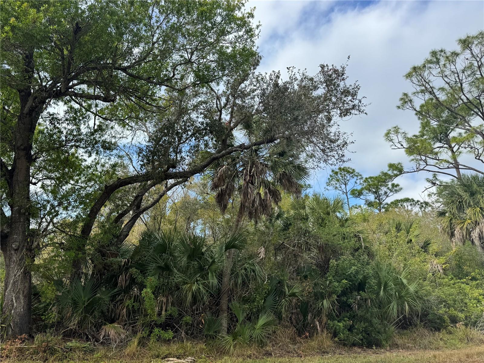 2433 Largo St, FL