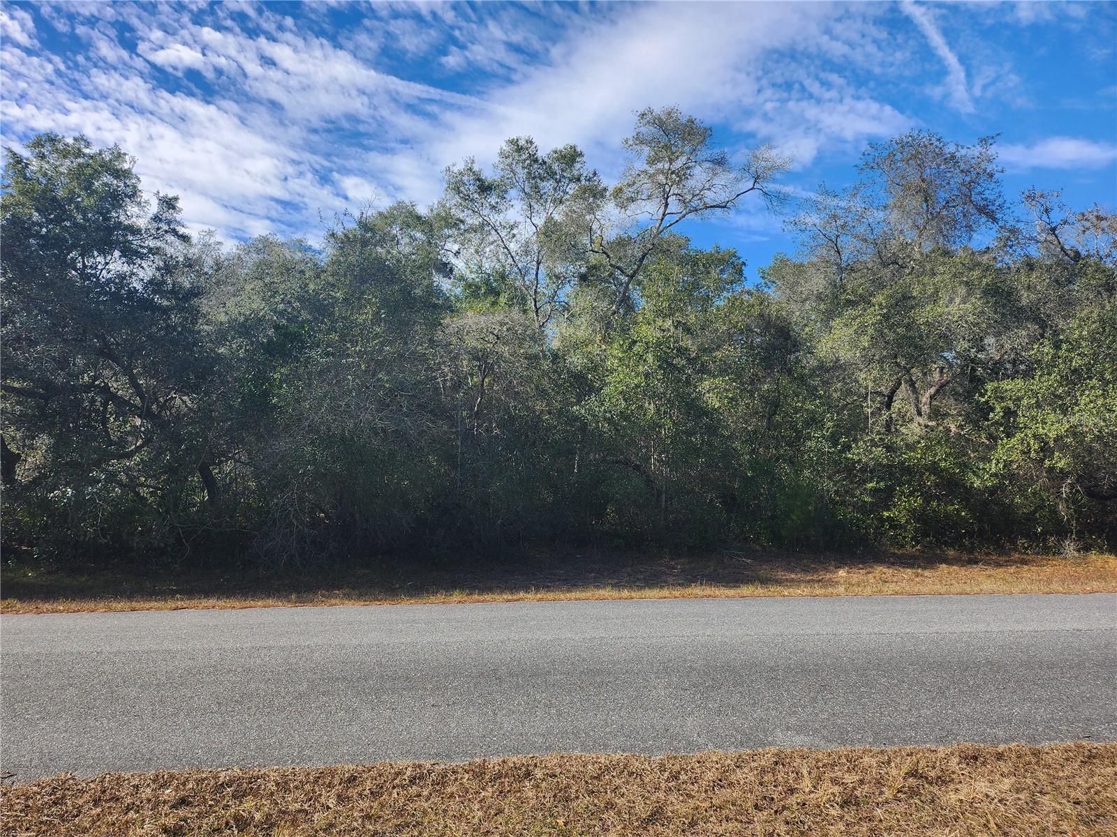 Tbd 29 Terrace Road, FL