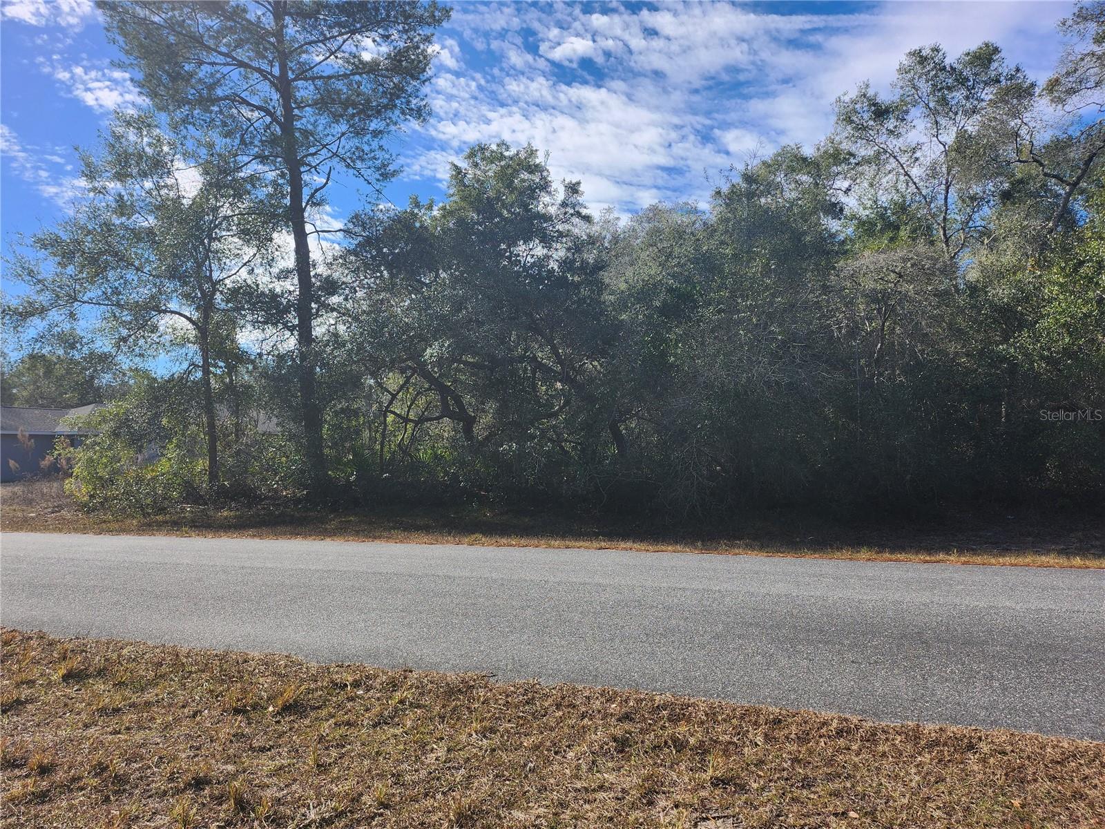 Tbd 29 Terrace Road, FL