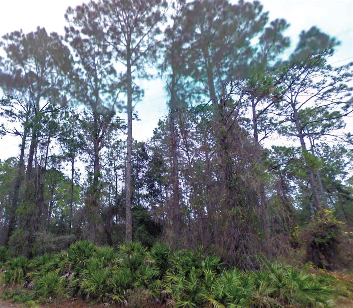 66th Avenue, FL