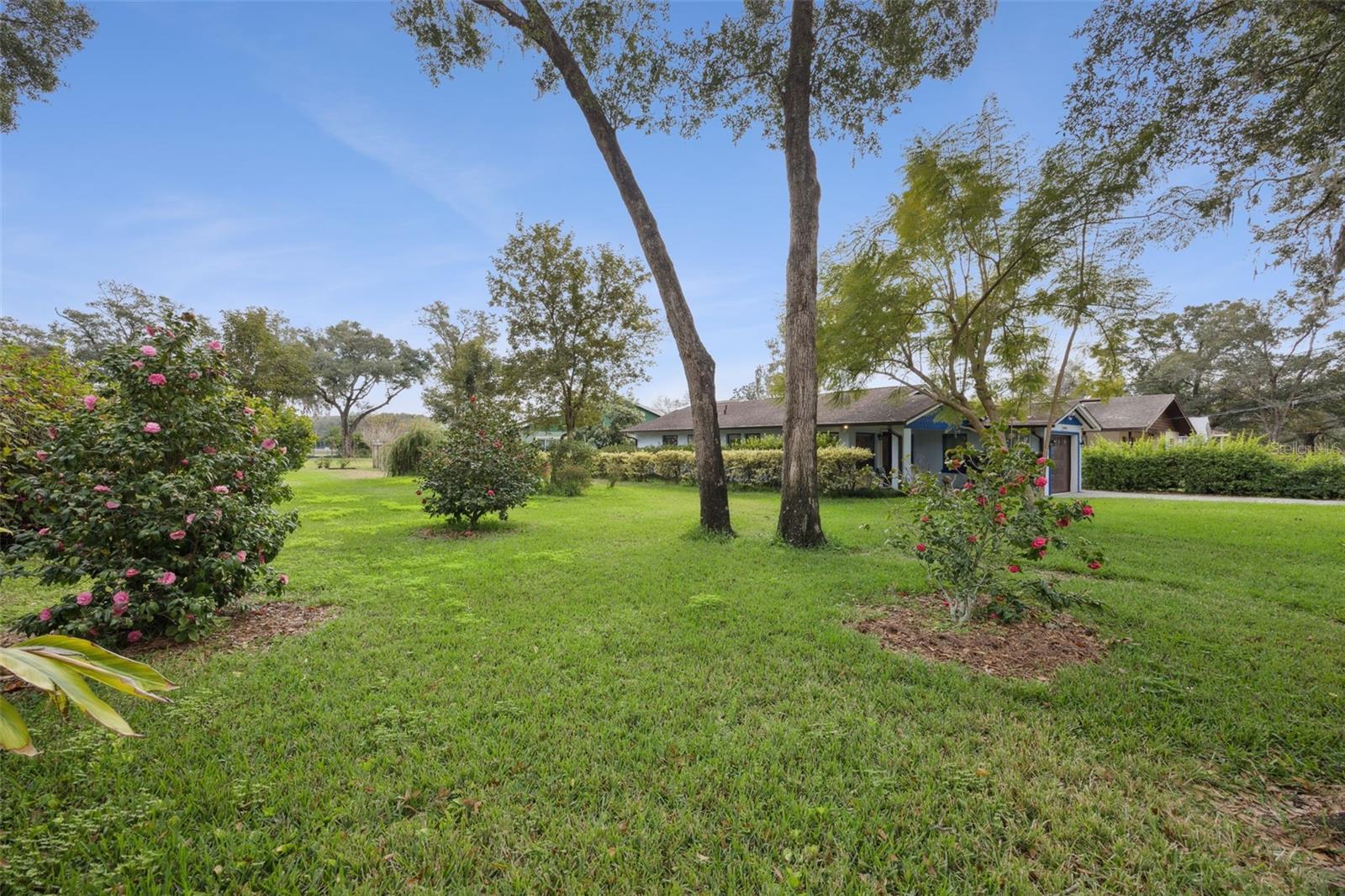30904 Deal Drive, FL
