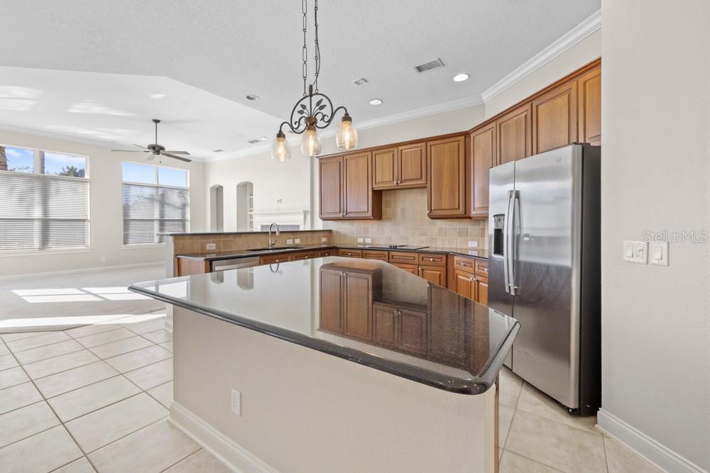 25515 Hawks Run Lane, FL