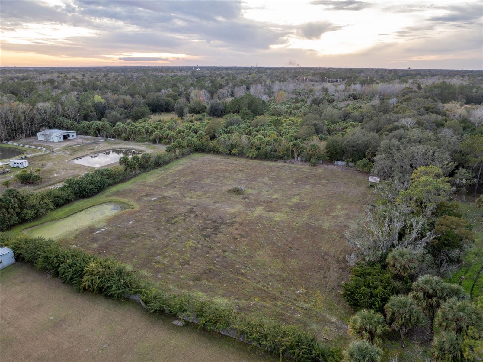 Pine Way, FL