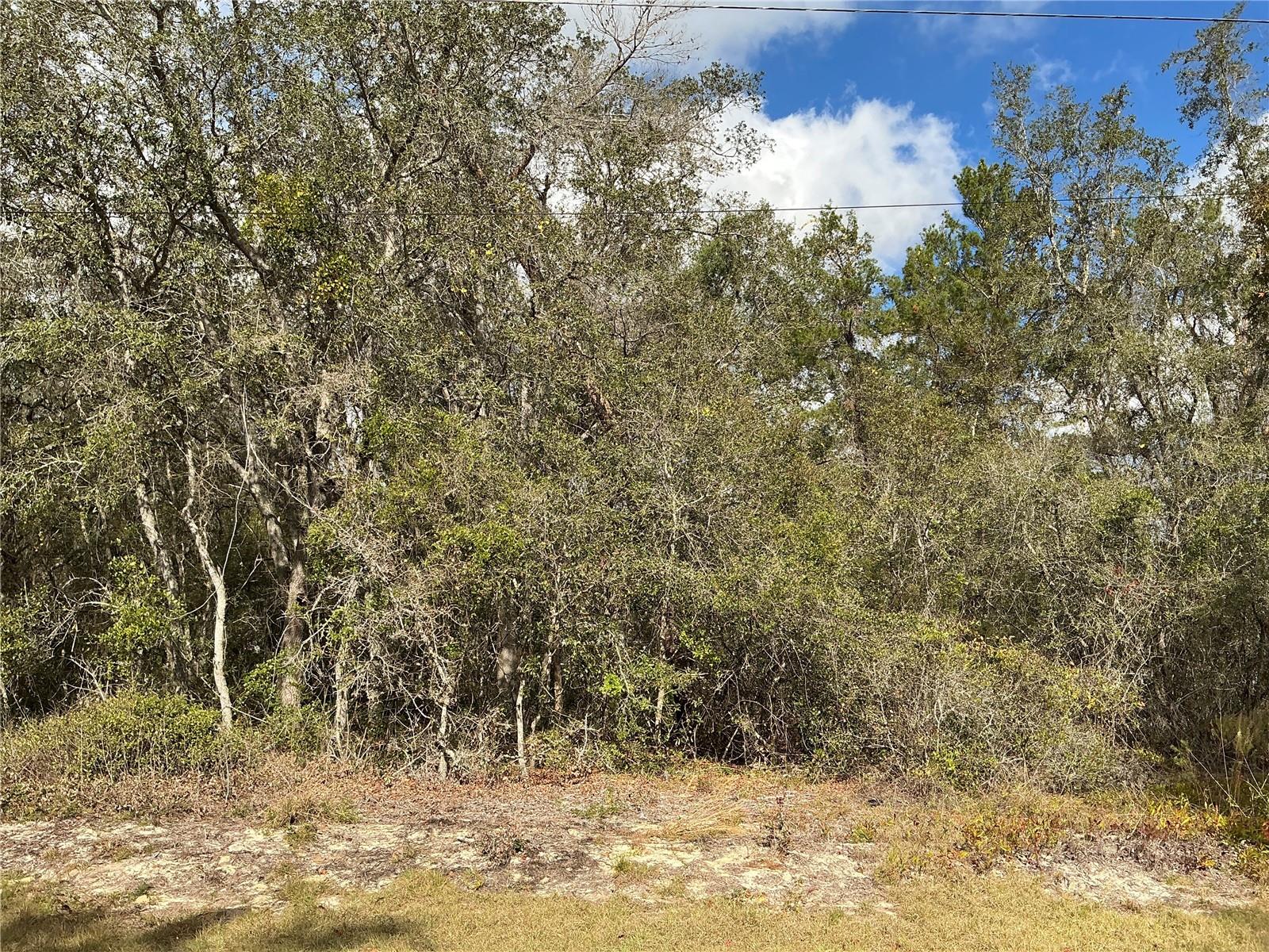 Lot 8 Fisher Trce, FL