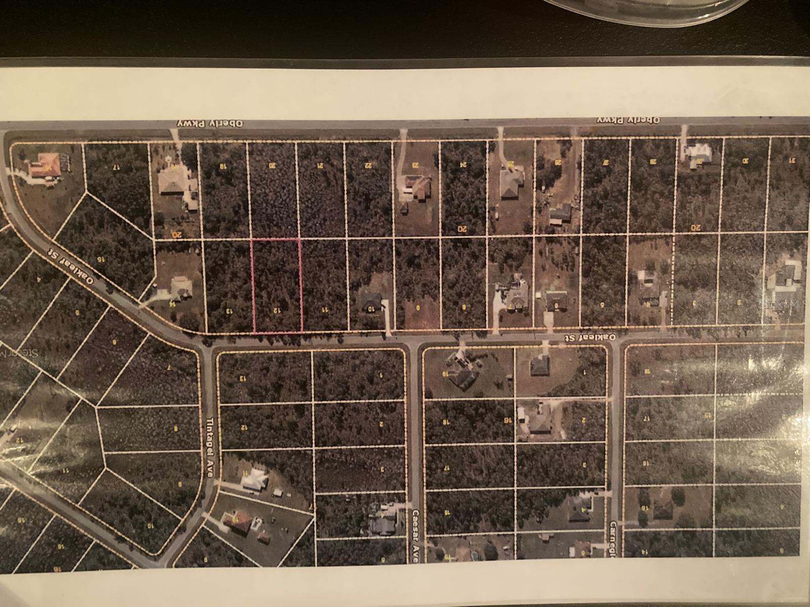 Oakleaf St, FL