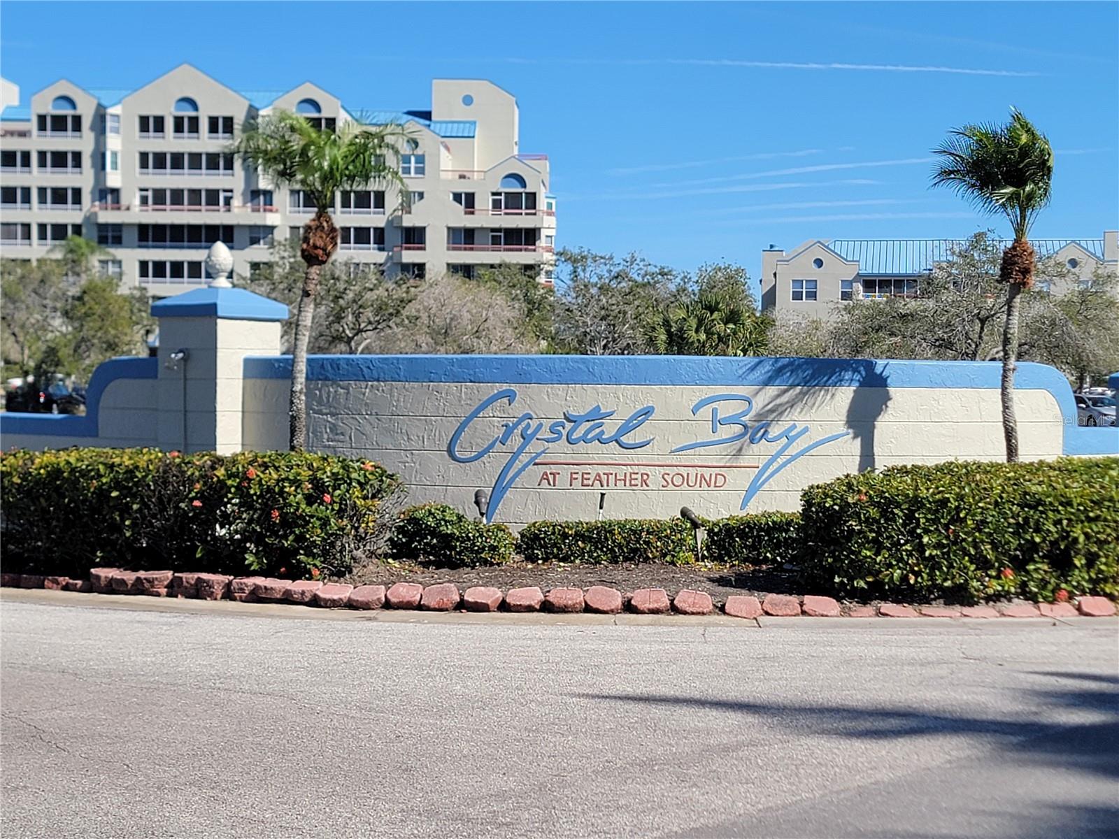 2333 Feather Sound Drive, FL