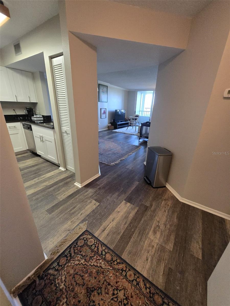 2333 Feather Sound Drive, FL