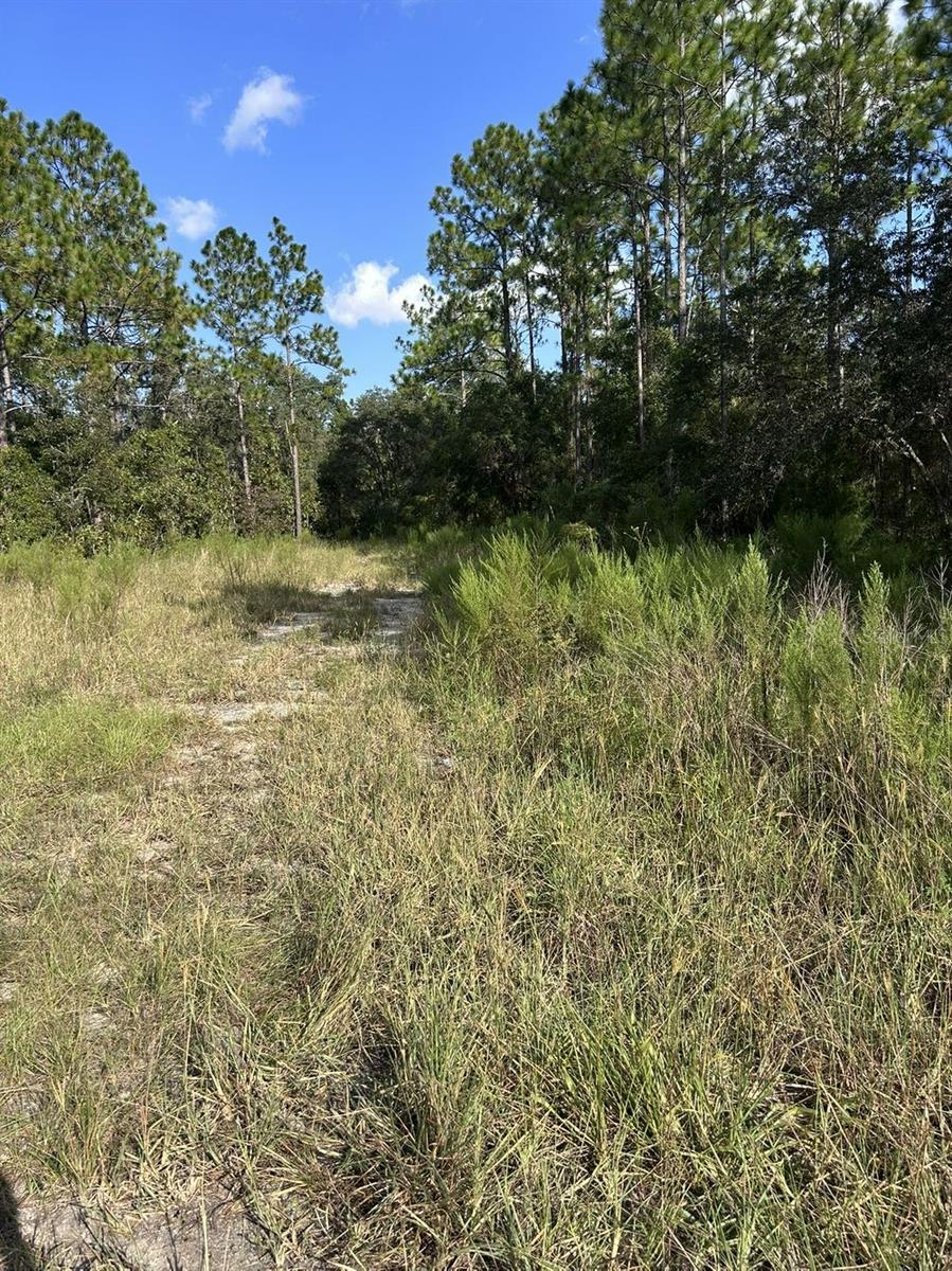 103 Lee Dr, FL
