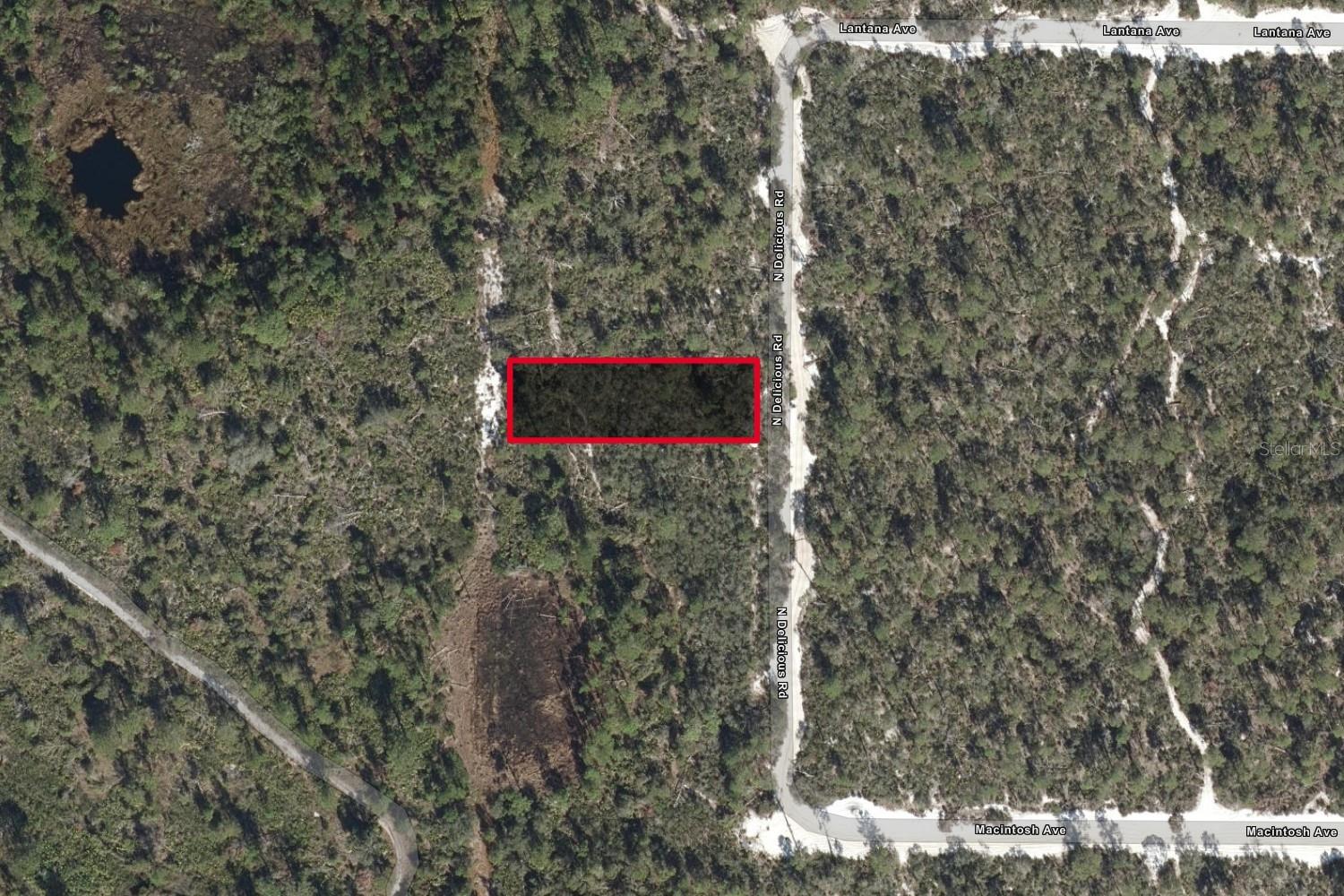 5717 N Delicious Rd, FL
