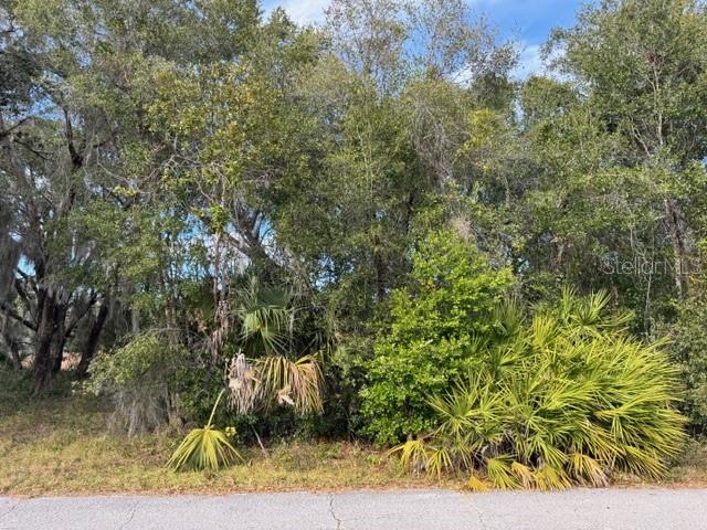 195 Lake Molly Avenue, FL