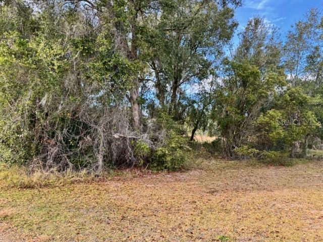 195 Lake Molly Avenue, FL