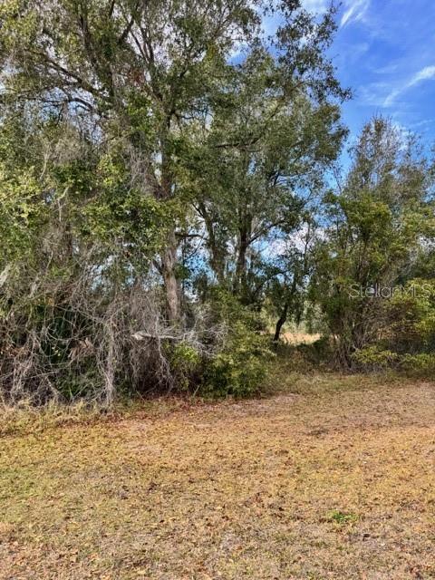 195 Lake Molly Avenue, FL