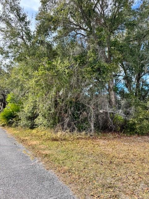 195 Lake Molly Avenue, FL
