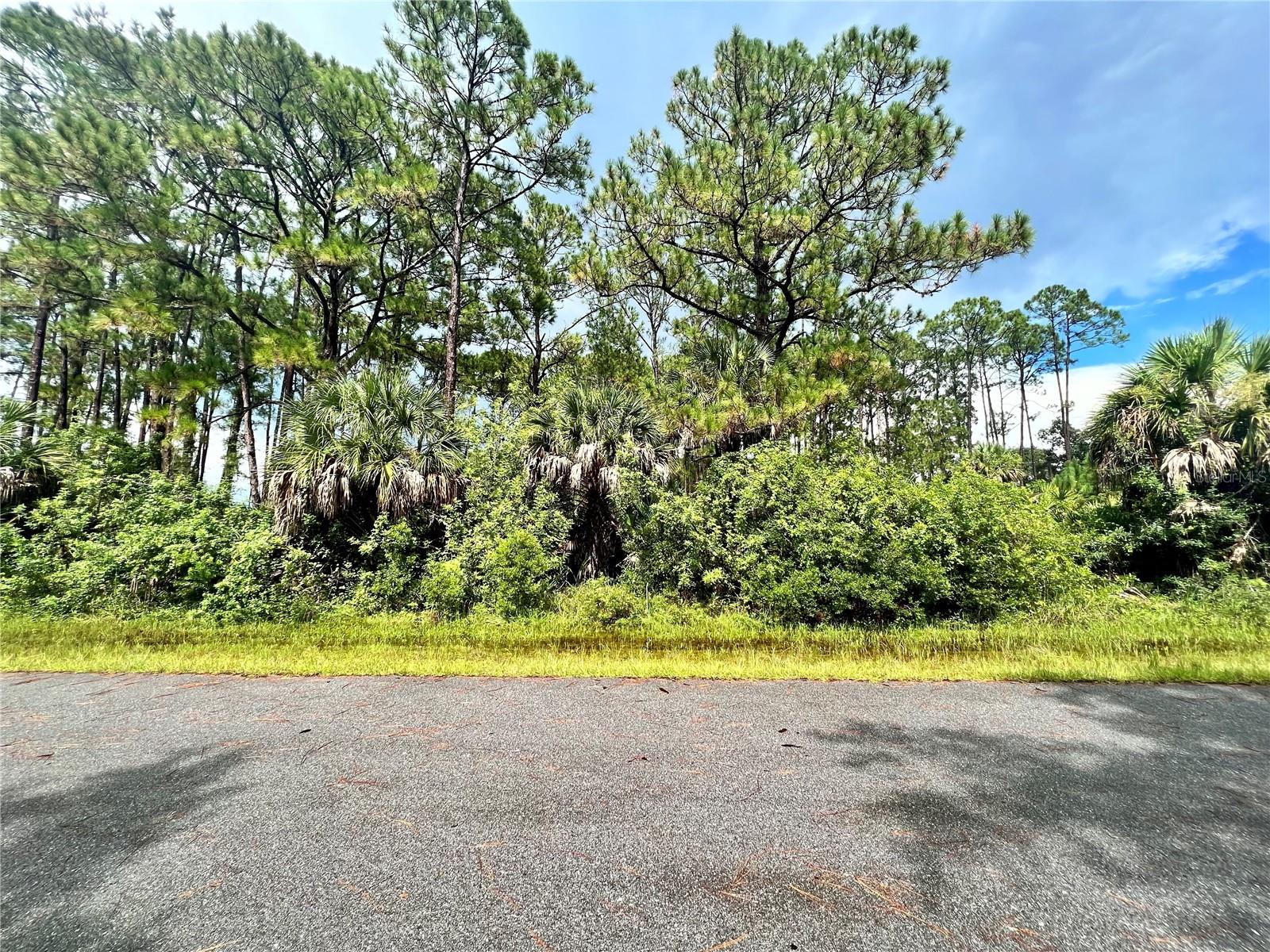 420 Bonsell Lane, FL