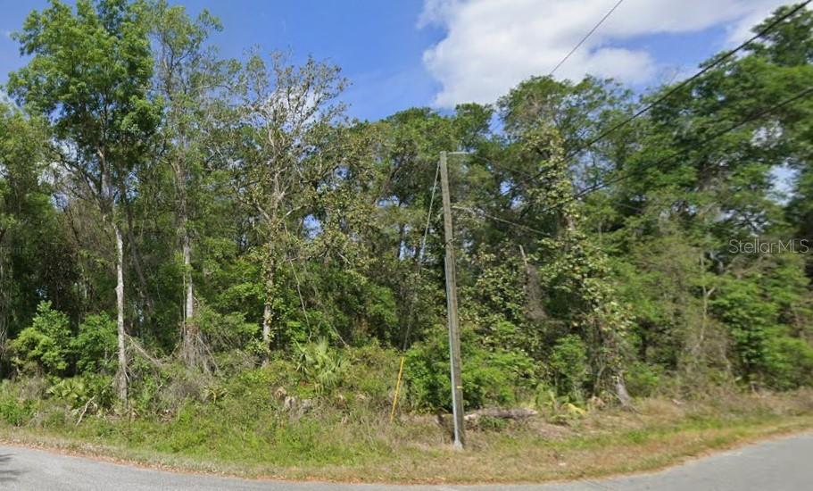 Spruce Terrace Run, FL