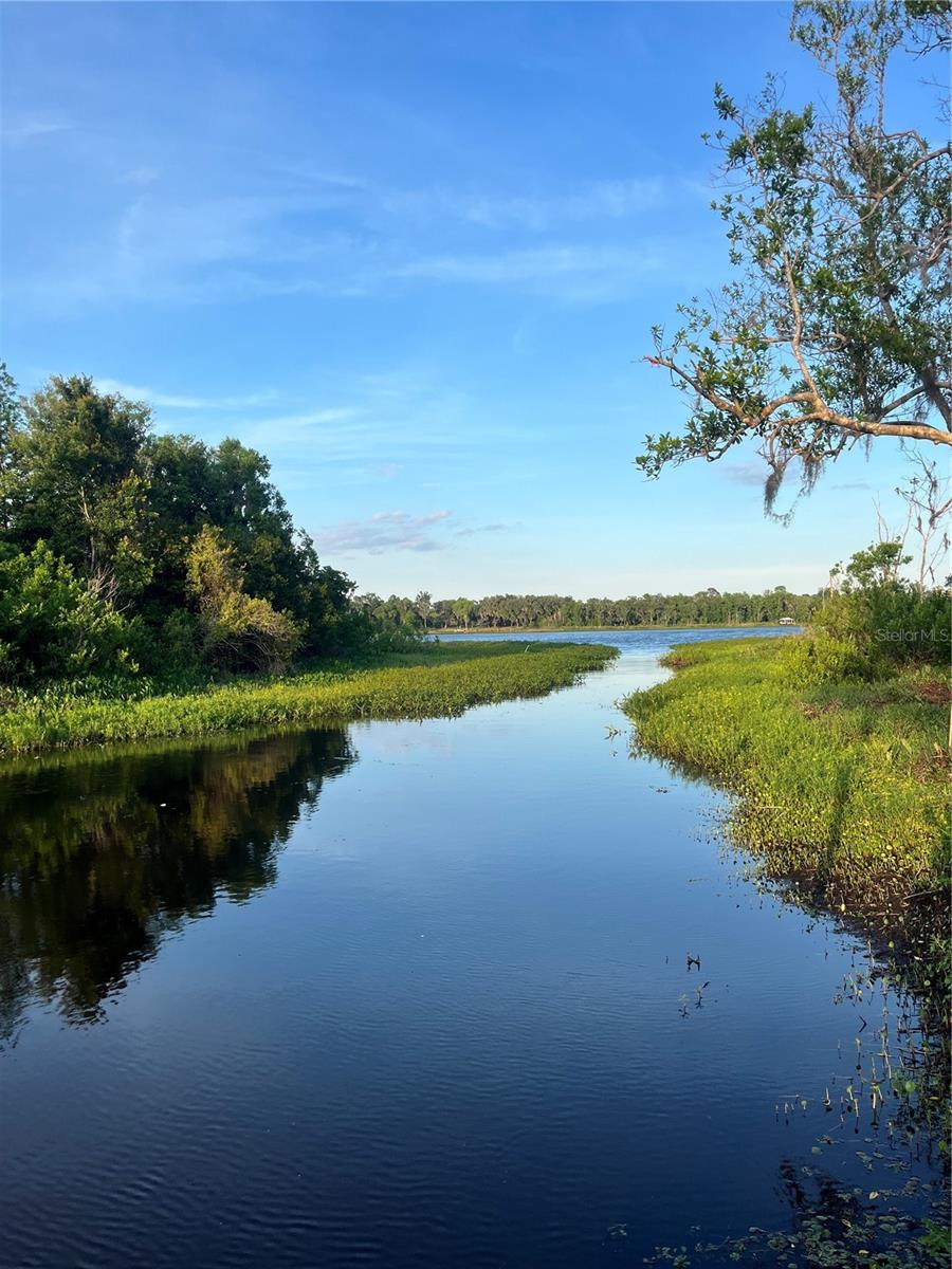 Lot 221 Ashley St, FL