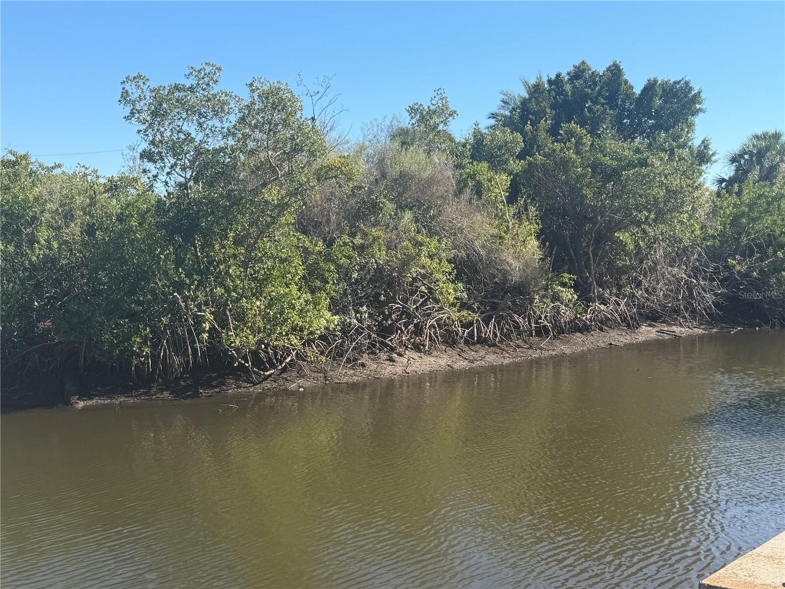2402 Larkspur Drive, FL