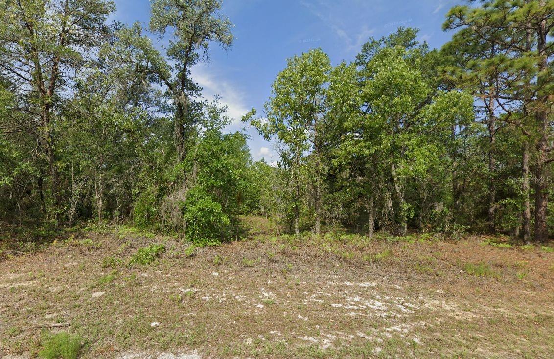 6502 N Matheson Dr, FL