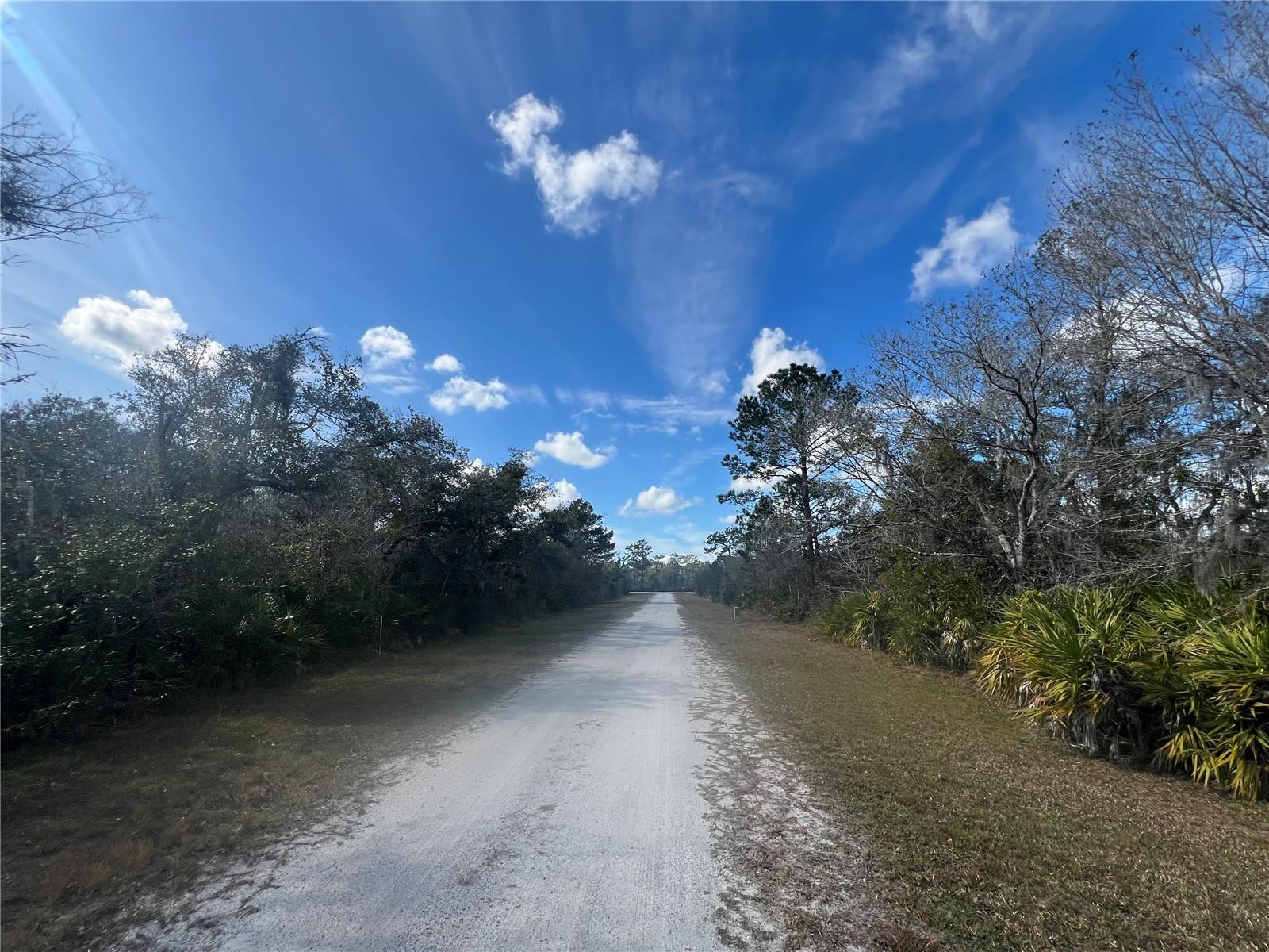 Silver Palm Drive, FL