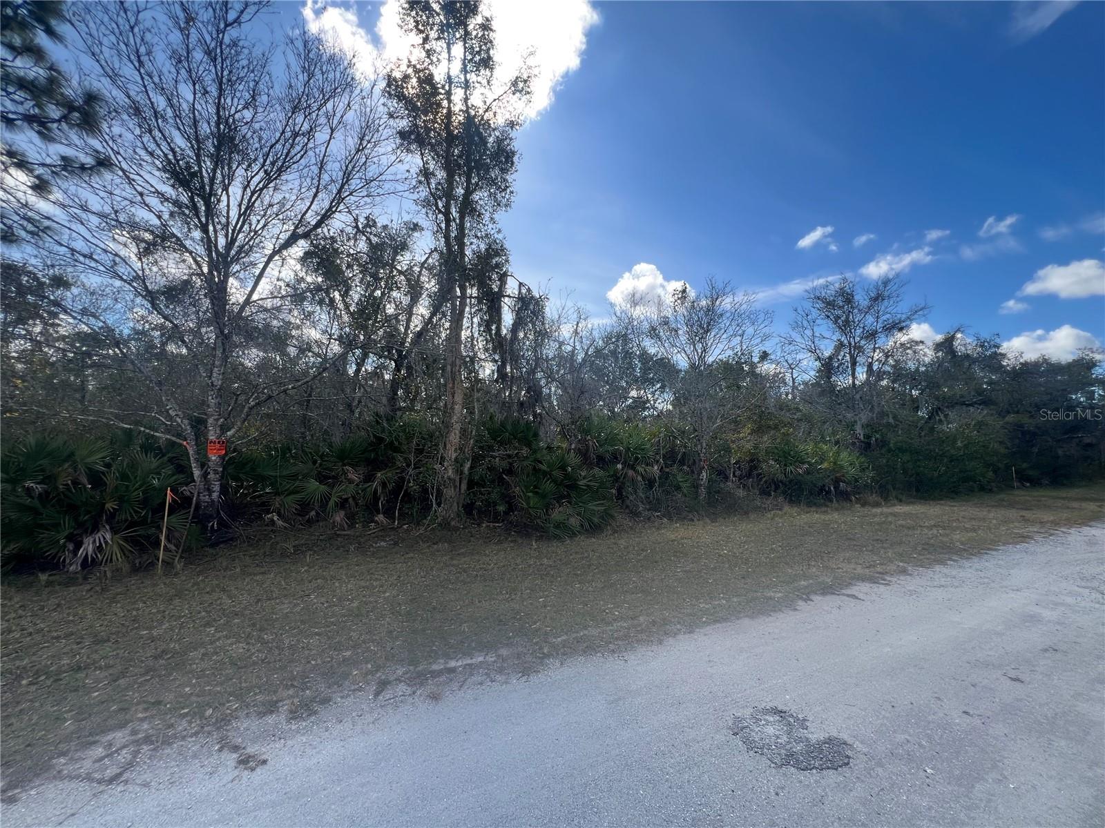 Silver Palm Drive, FL