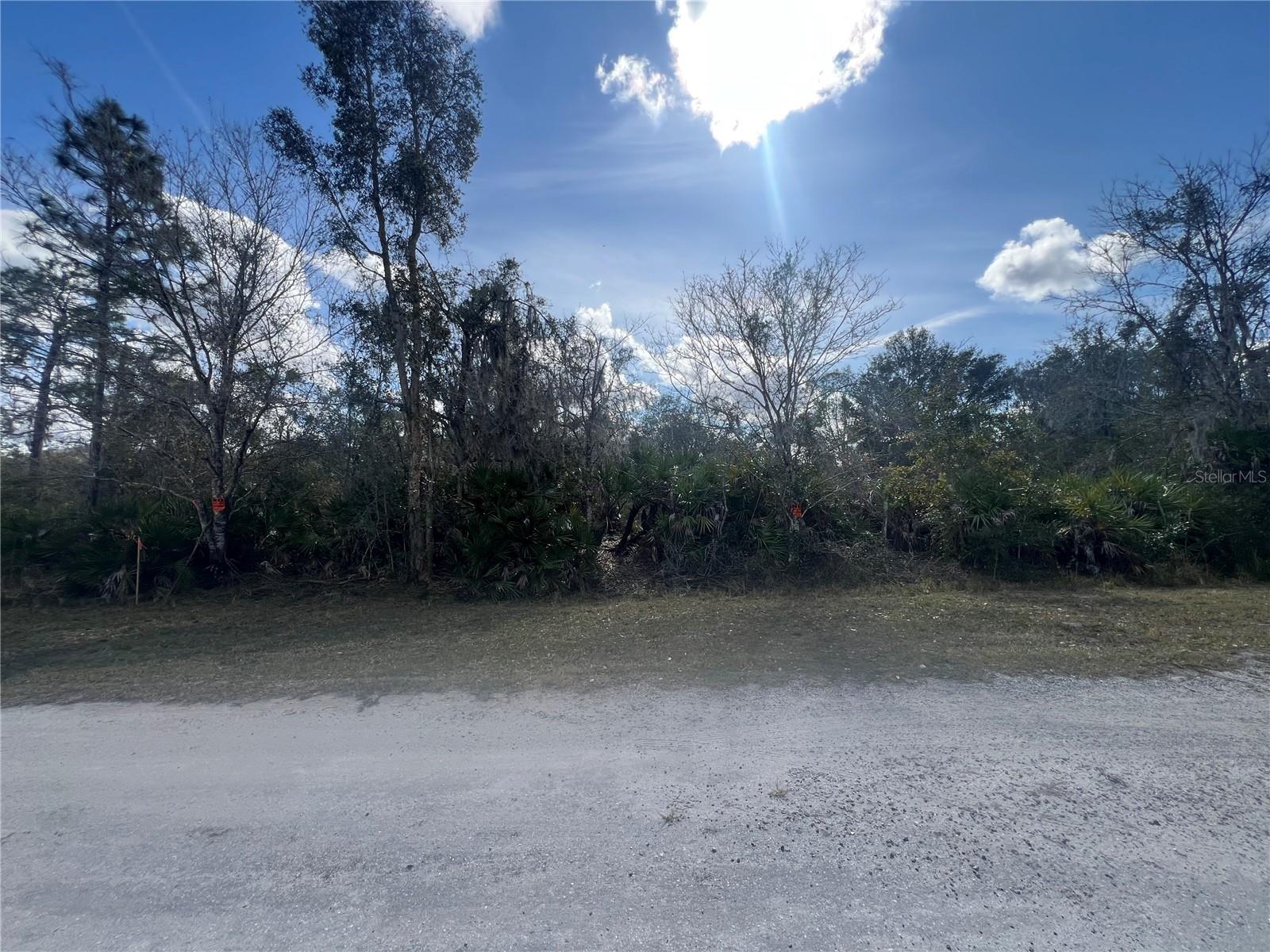 Silver Palm Drive, FL