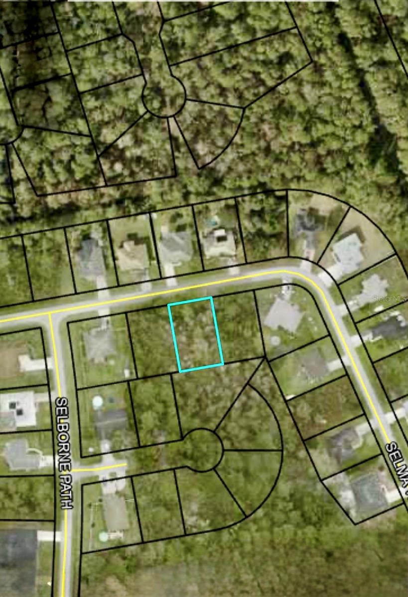 12 Selma Trl, FL