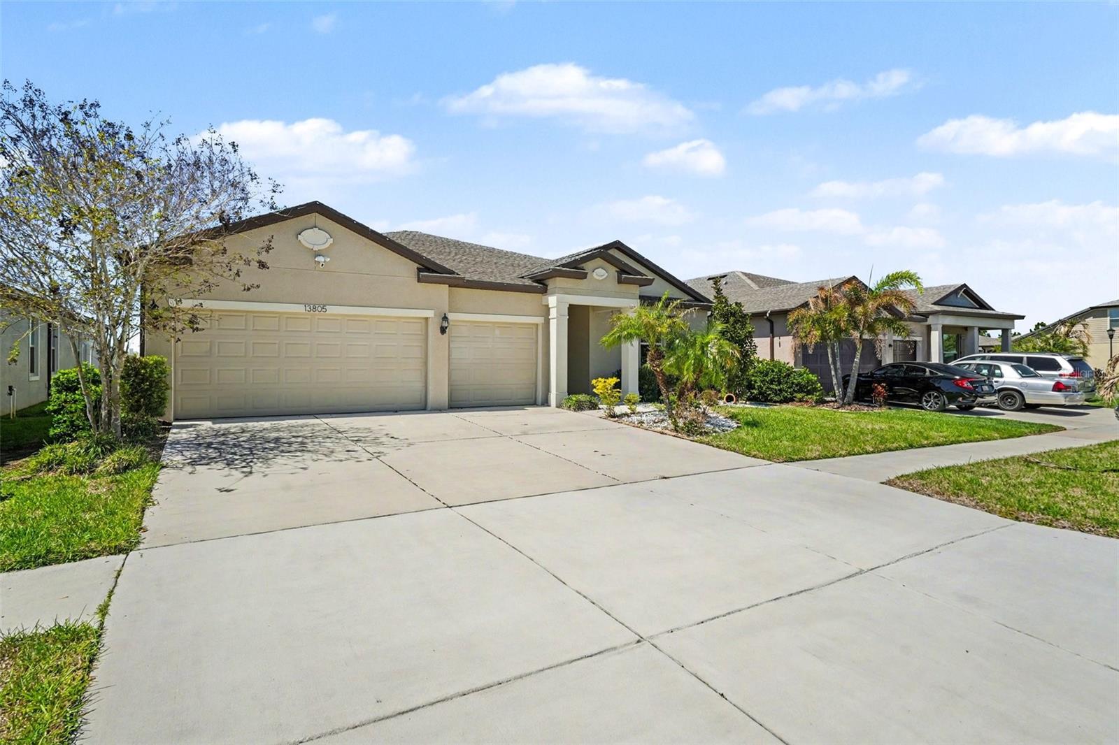 13805 Tonya Anne Drive, FL
