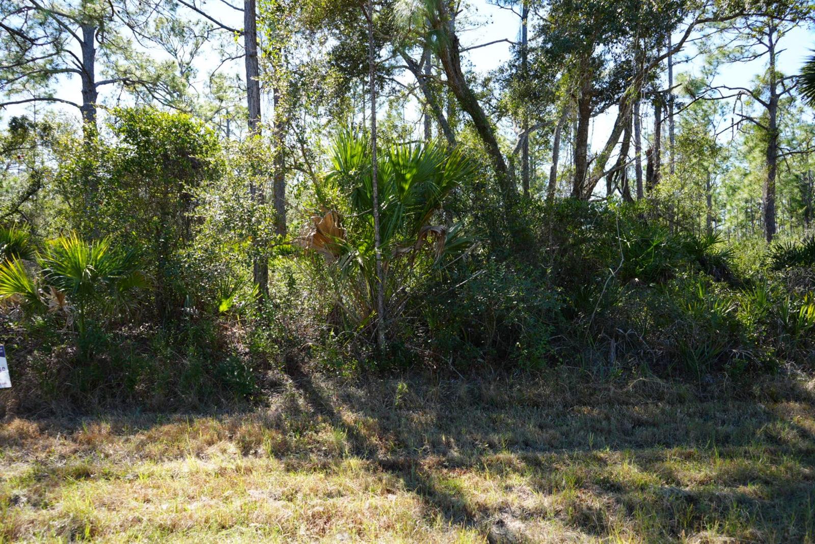 13101 Rankin Avenue, FL