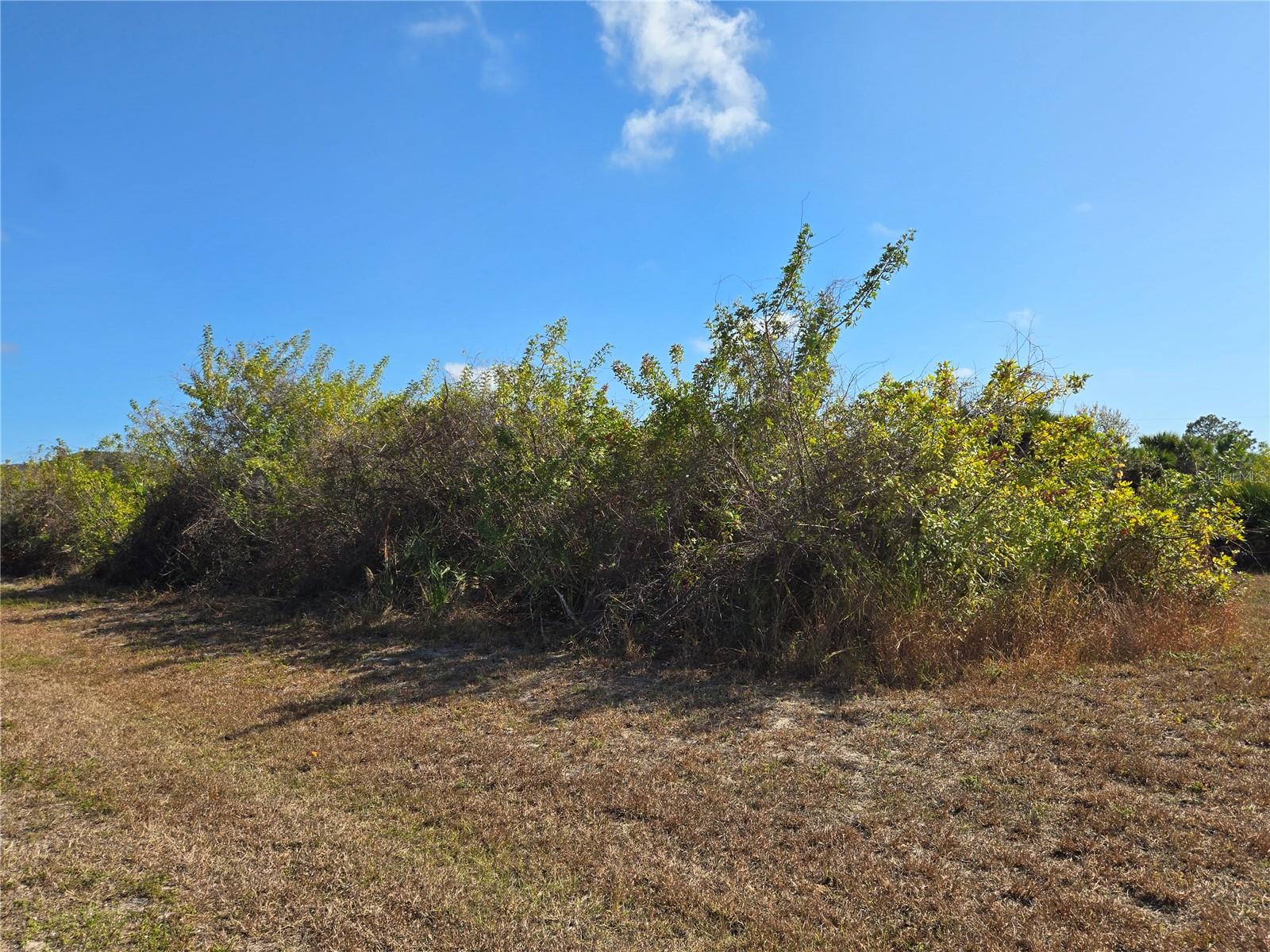 277 Baytree Drive, FL