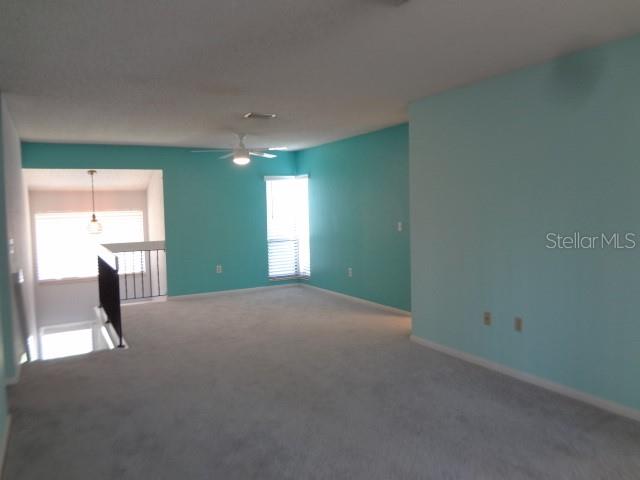 12 Hembury Lane, FL