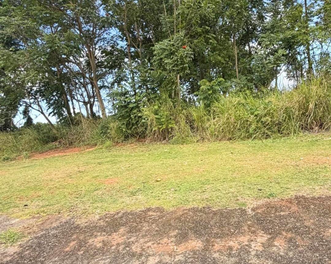 Sector Manantiales, Bo. Sabana Hoyos, PR