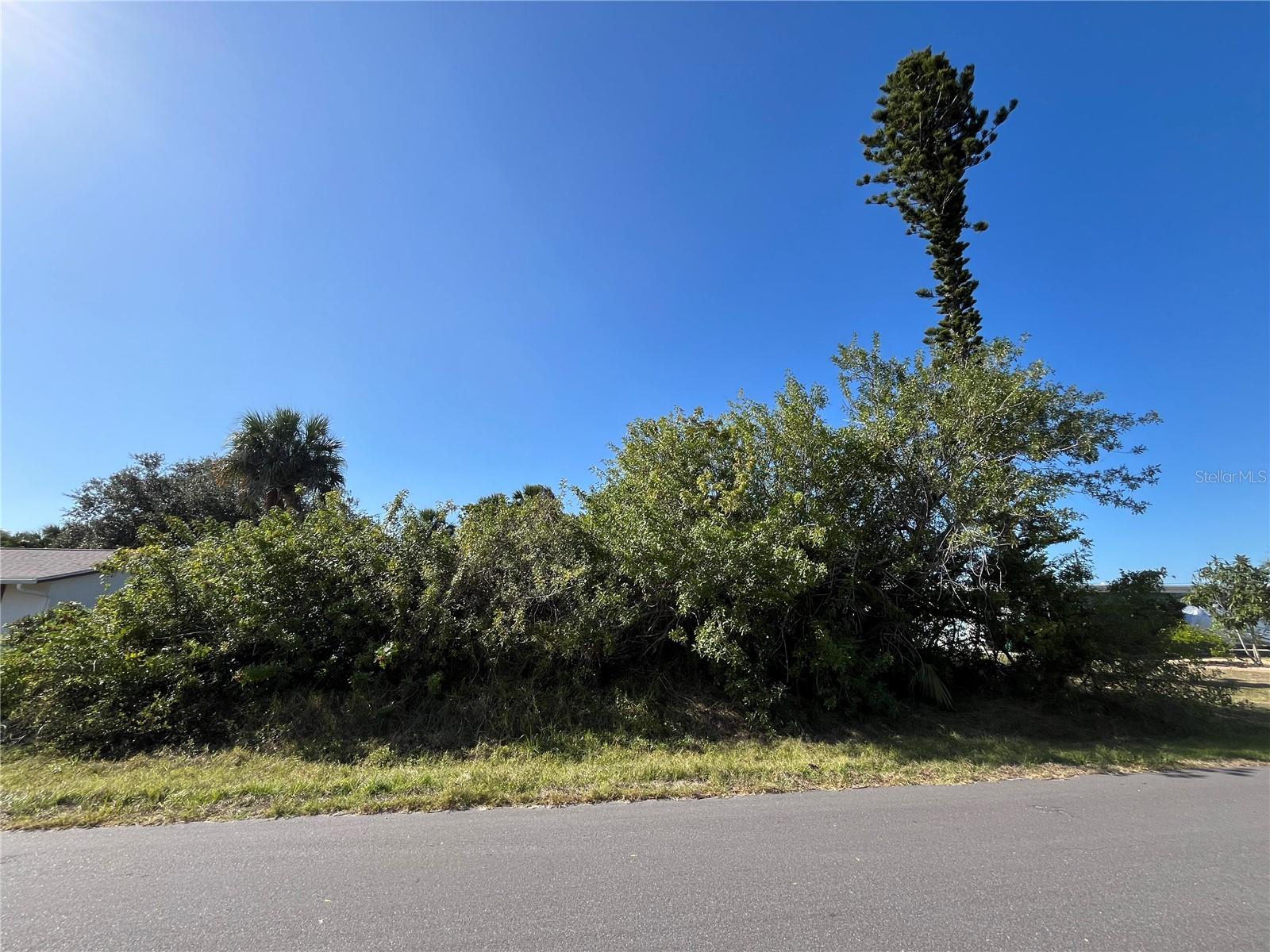 4231 Oneill Street, FL