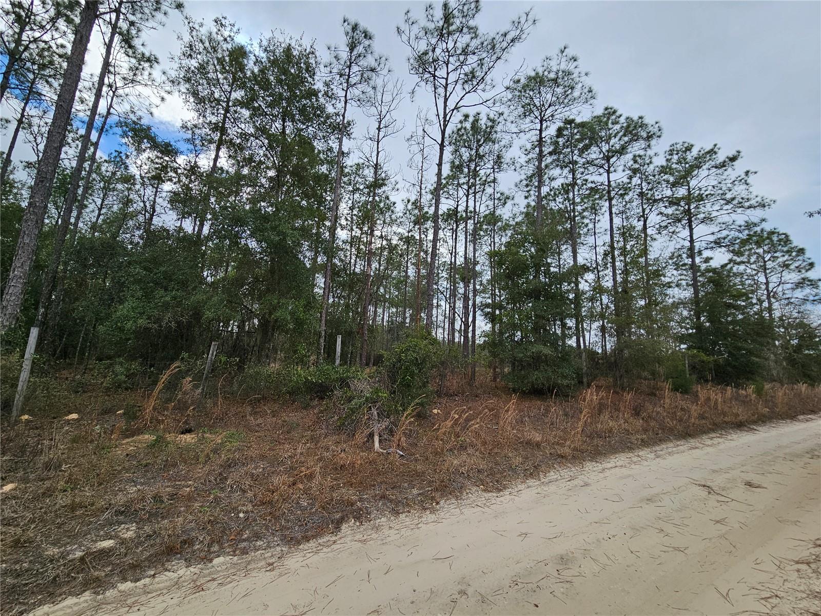 Tbd 45th Street, FL