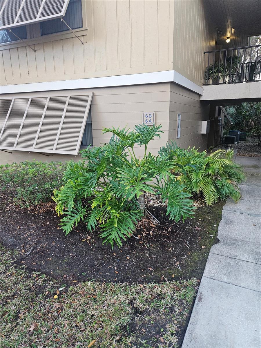 140 Orchid Woods Ct #6a, FL