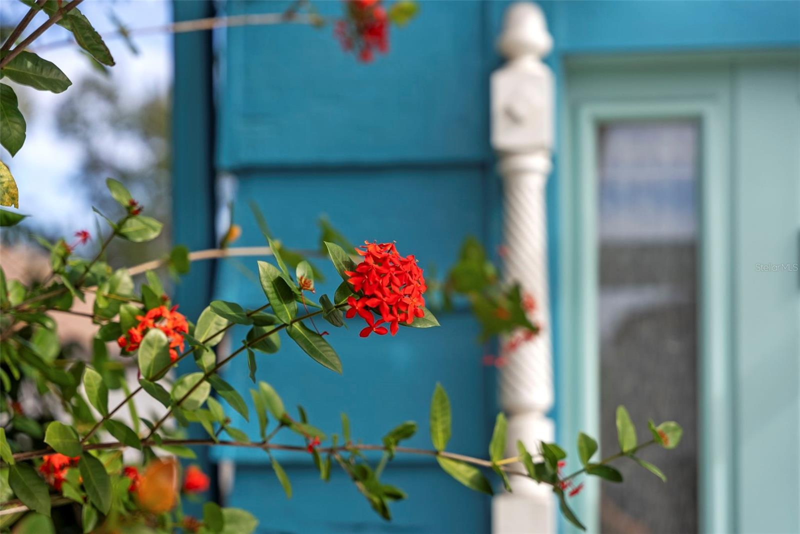 105 Tucker Avenue, FL